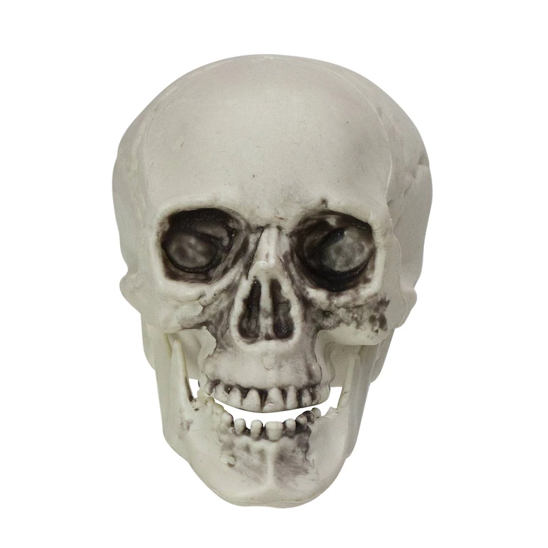 3.5'' Skull Head Halloween Decorations, 6ct.