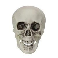3.5'' Skull Head Halloween Decorations, 6ct.