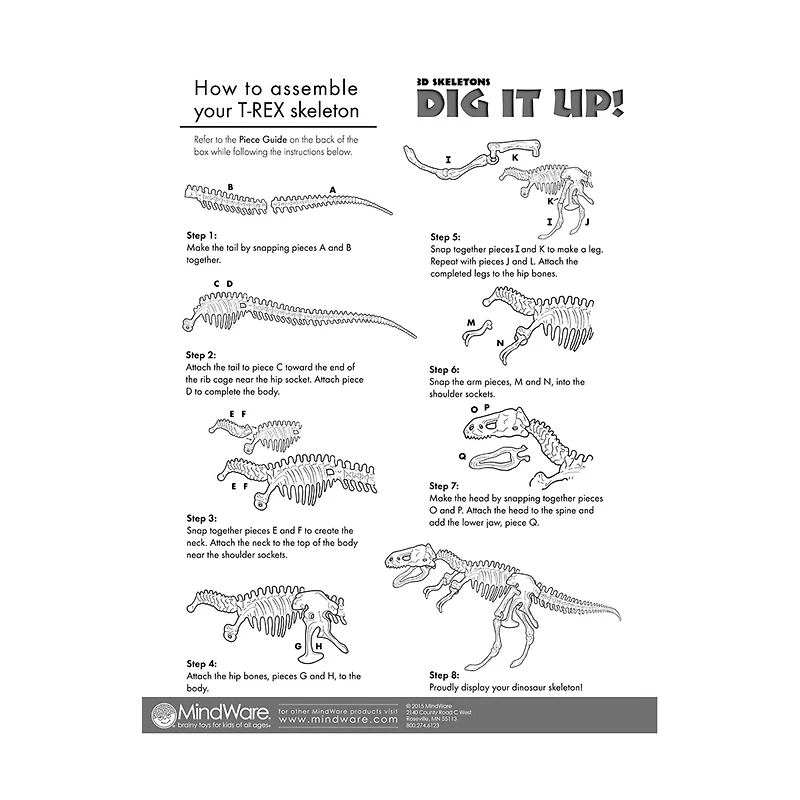 Dig It Up! - Dino Model: Tyrannosaurus Rex