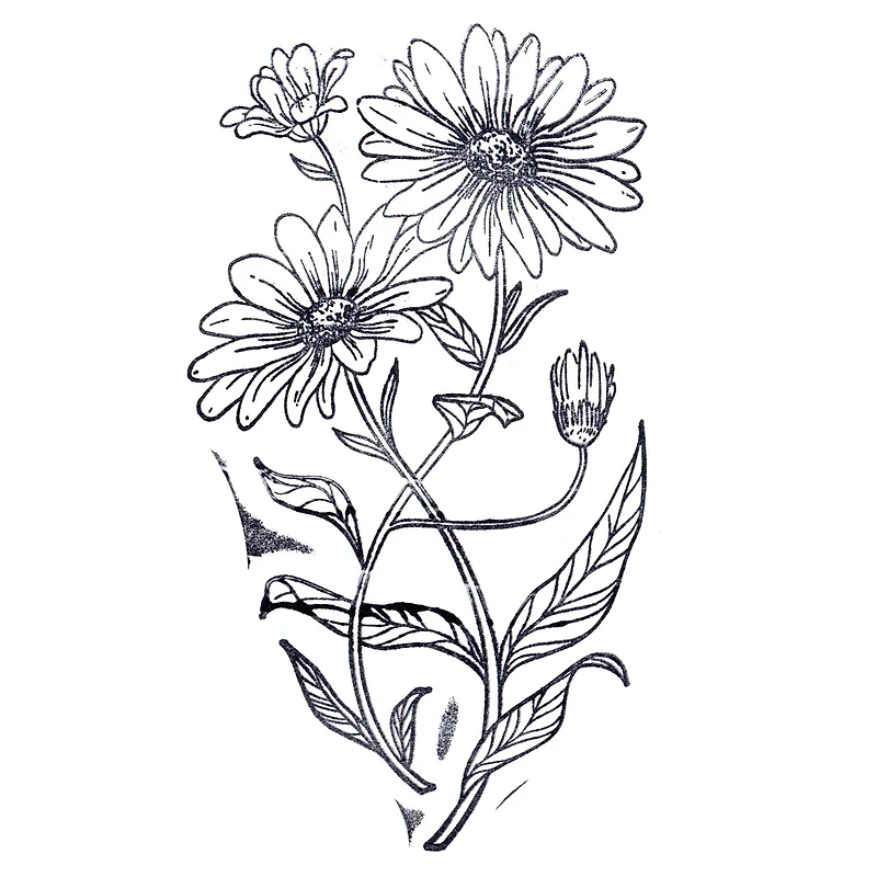 Daisy Stamp by Recollections™