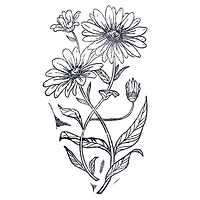 Daisy Stamp by Recollections™