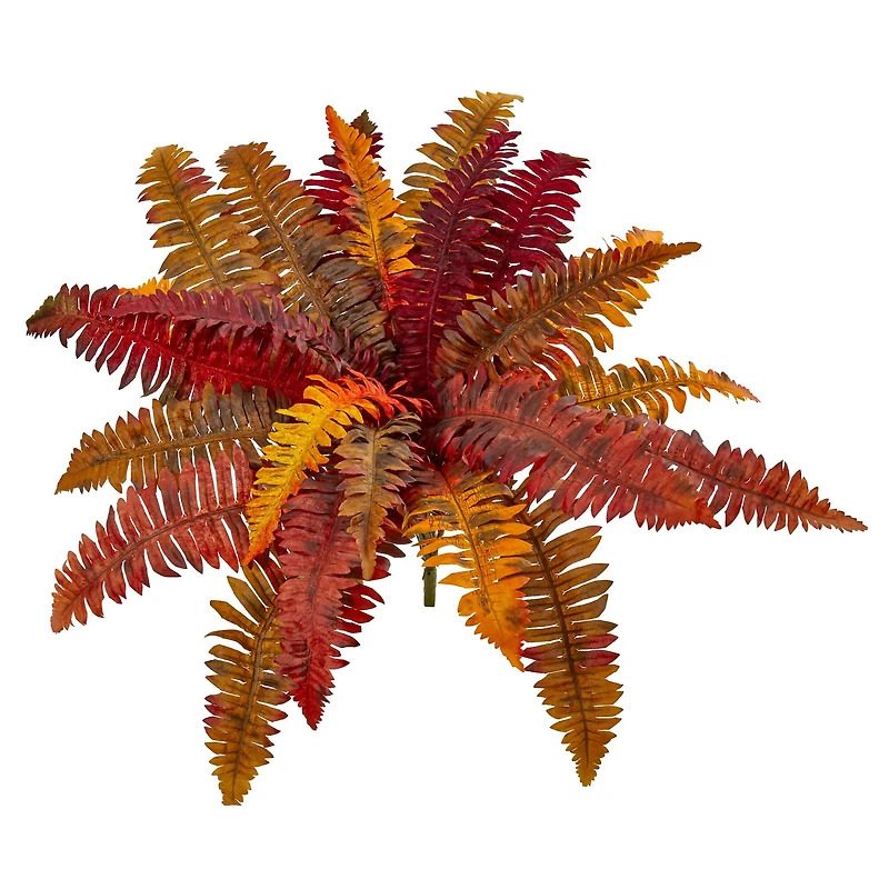20" Autumn Boston Fern Bush, 3ct.