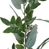 6ft. Eucalyptus Garland with Green Berries by Ashland®