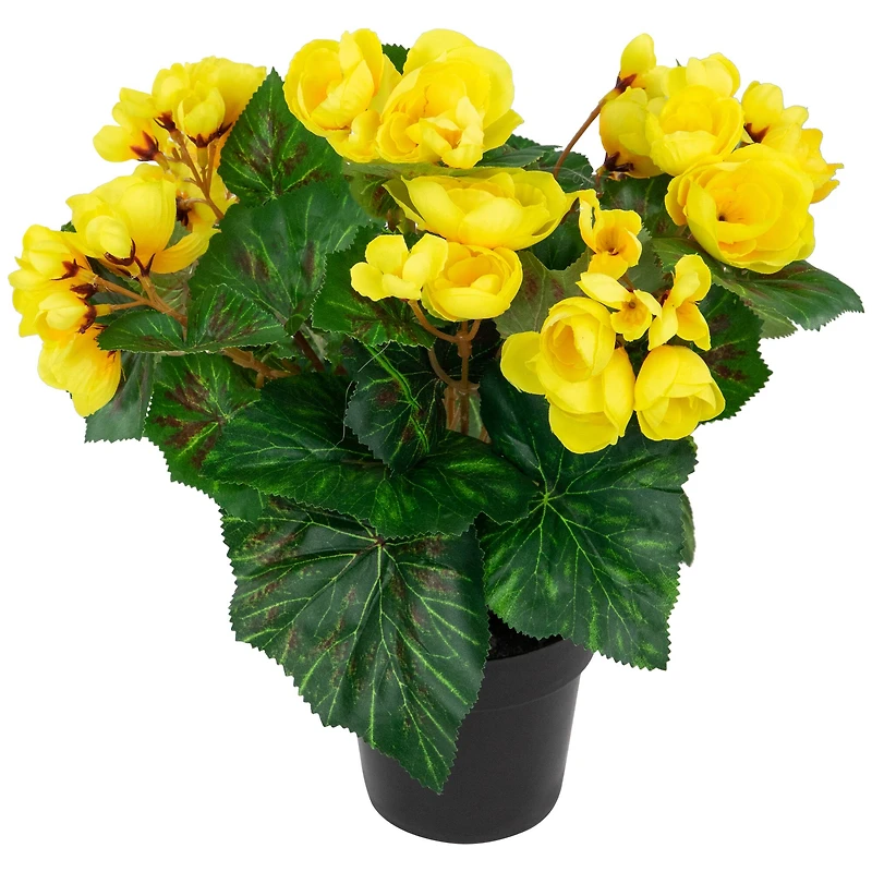 11" Yellow Potted Silk Begonia Floral Arrangement