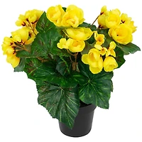 11" Yellow Potted Silk Begonia Floral Arrangement