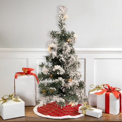 2ft. Pre-Lit Flocked Bristol Pine Artificial Christmas Tree, Warm Clear LED Lights