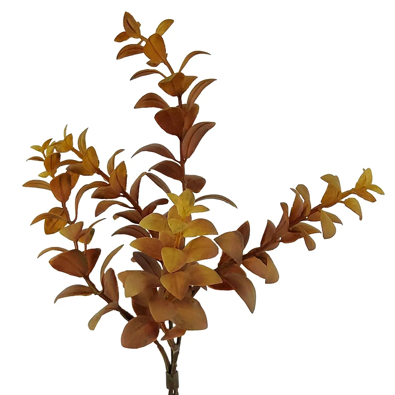 Mini Eucalyptus Bundle by Ashland