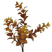 Mini Eucalyptus Bundle by Ashland