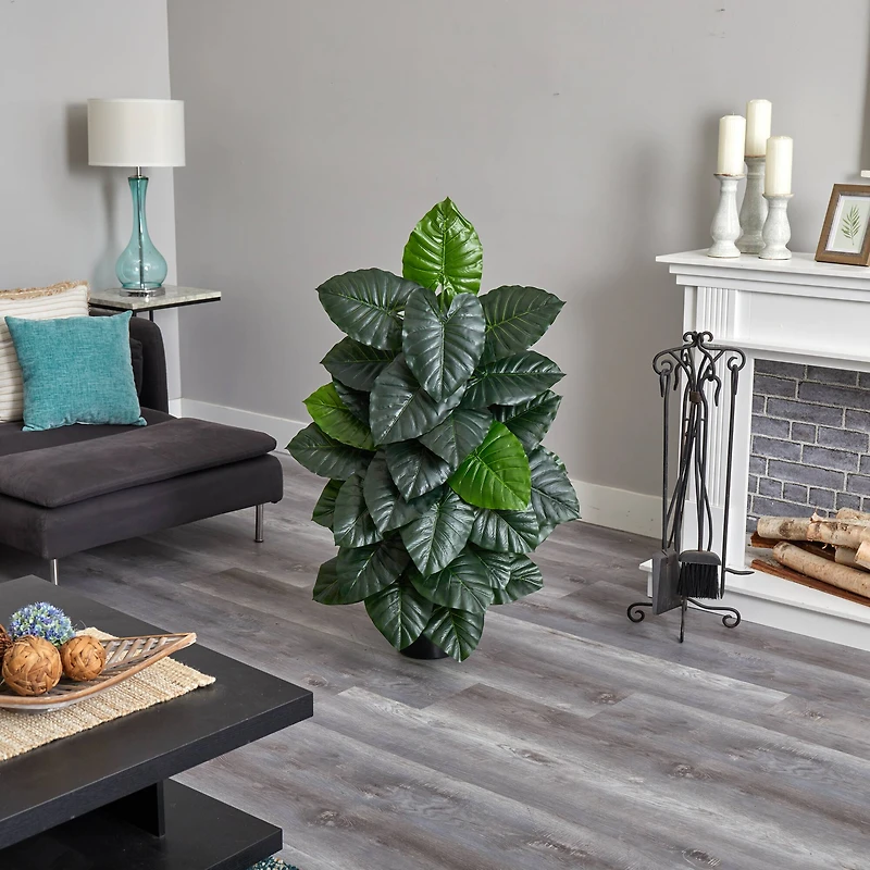 4ft. Potted Taro Plant