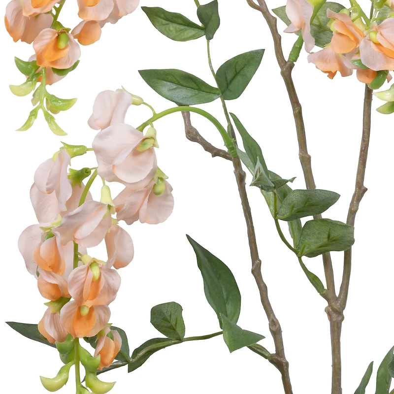 32.5" Peach Wisteria Spray by Ashland®