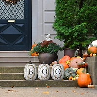 13" White Boo Pumpkin Set