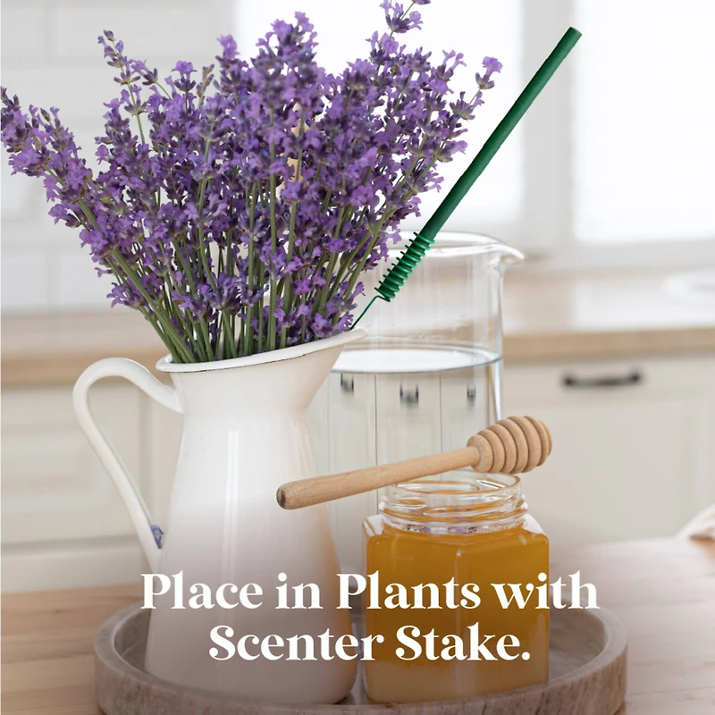 Scentsicles Stick Sun Soaked Lavender and Into the Vanilla Woods, 2 pack of 6