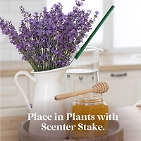 Scentsicles Stick Sun Soaked Lavender and Into the Vanilla Woods, 2 pack of 6