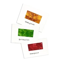 6 Packs 3 ct. (18 total): Tim Holtz® Conservatory Alcohol Inks