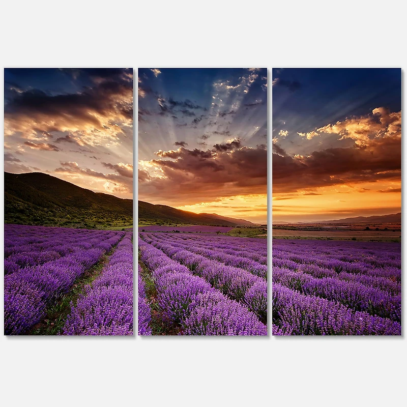 Designart - Sunrise & Dramatic Clouds Over Lavender Field X
