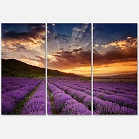 Designart - Sunrise & Dramatic Clouds Over Lavender Field X