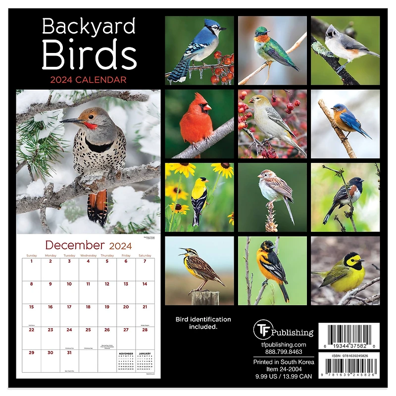 TF Publishing Backyard Birds Mini Calendar