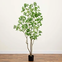 7ft. Potted Minimalist Japanese Pieris Tree with Real Touch Leaves