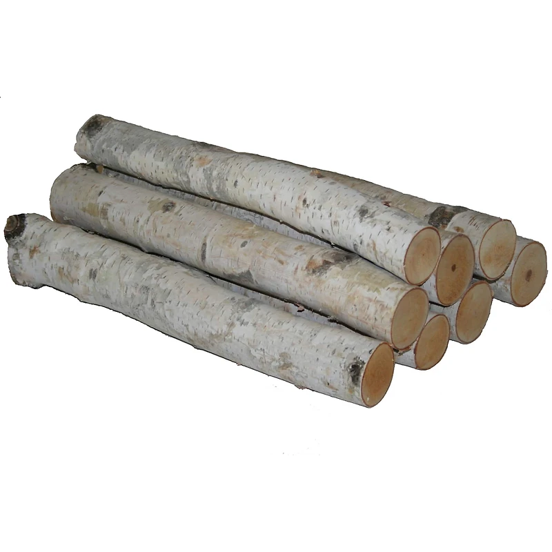 Wilson® Enterprises 6"-8" Large White Birch Fireplace Set, 3ct.