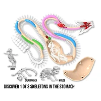 Dissect It Rattlesnake Super Lab Kit