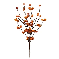 12.5" Orange Berry Pick by Ashland®