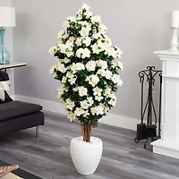 5ft. Azalea Tree in White Planter