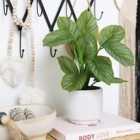12" Artificial Calathea Plant with Decorative Planter