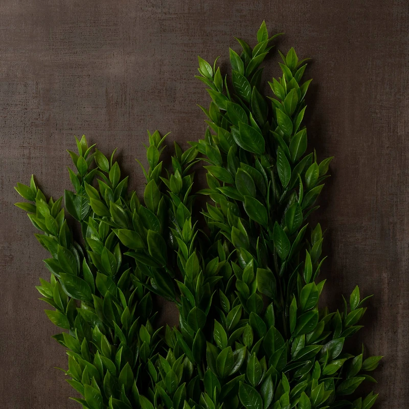 Hanging Ruscus Bush by Ashland®