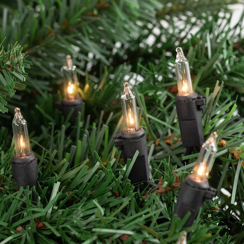 100ct. Mini Christmas String Lights with Black Wire