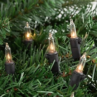100ct. Mini Christmas String Lights with Black Wire