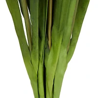 35" White Iris Artificial Flower Stem, 8ct.