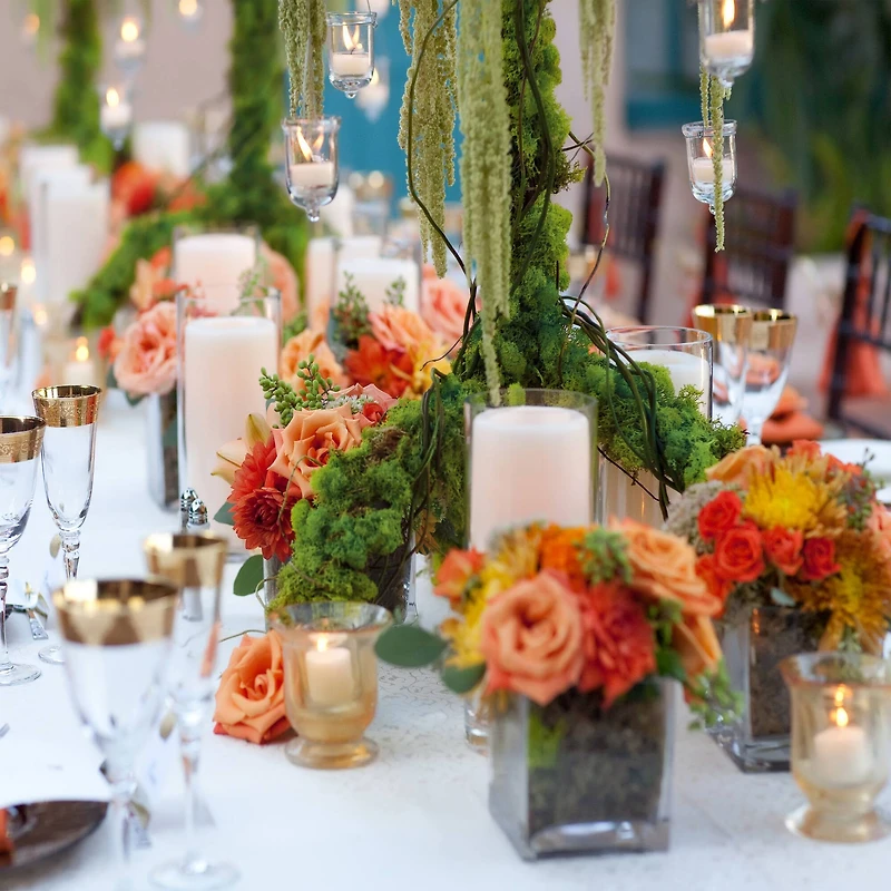 SuperMoss® 8oz. Basil Preserved Reindeer Moss