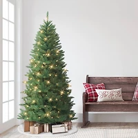 7ft. Pre-Lit Carson Artificial Pine Tree, Clear Lights
