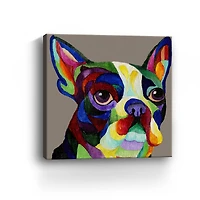 Boston Terrier Canvas Giclee