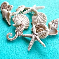 Dress It Up Beach Beauties Seashell Themed Buttons