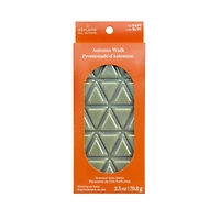2.5oz. Autumn Walk Scented Wax Melts by Ashland®