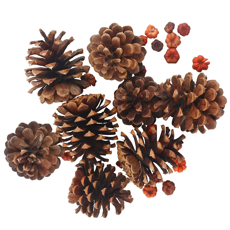 3qt. Pecan Caramel Scented Pine Cones by Ashland®