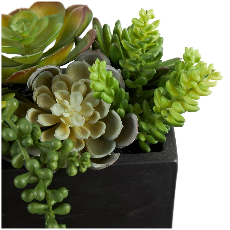 14" Green Faux Succulent in Black Rectangular Container