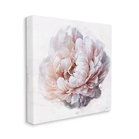 Stupell Industries Detailed Peony Petals Canvas Wall Art