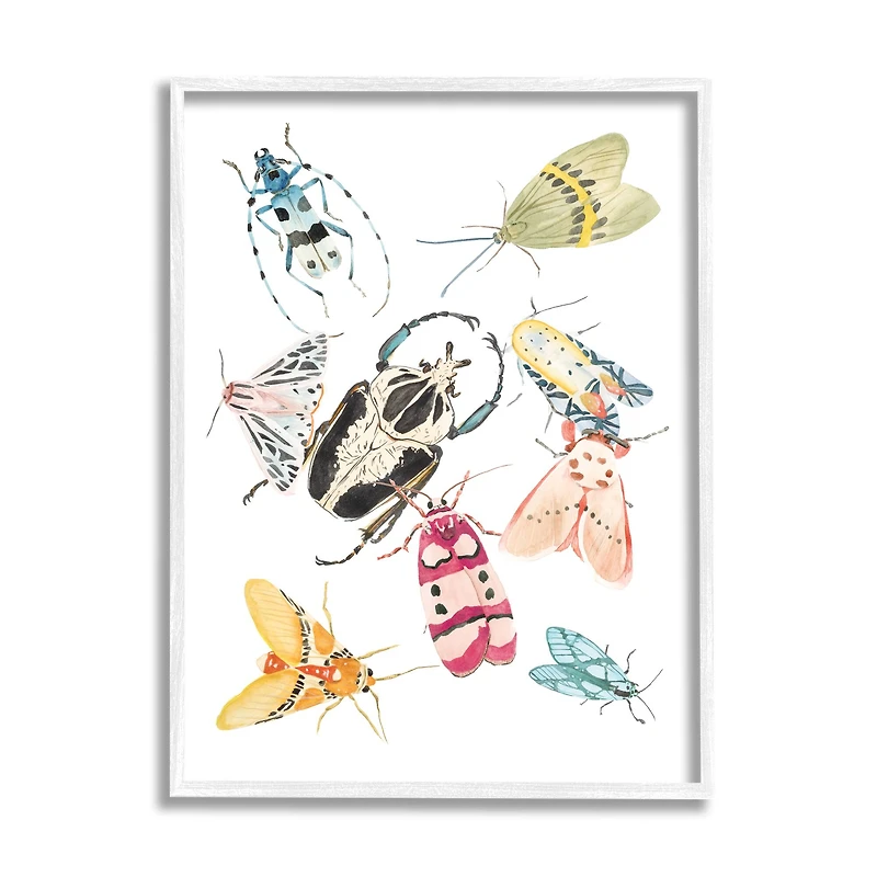 Stupell Industries Garden Insect Arrangement Charming Winged Creatures in White Frame Wall Art