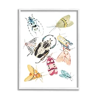 Stupell Industries Garden Insect Arrangement Charming Winged Creatures in White Frame Wall Art