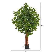 4.5ft. Potted Super Deluxe Ficus Tree