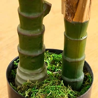 4ft. UV Resistant Artificial Double Robellini Palm Tree (Indoor/Outdoor)