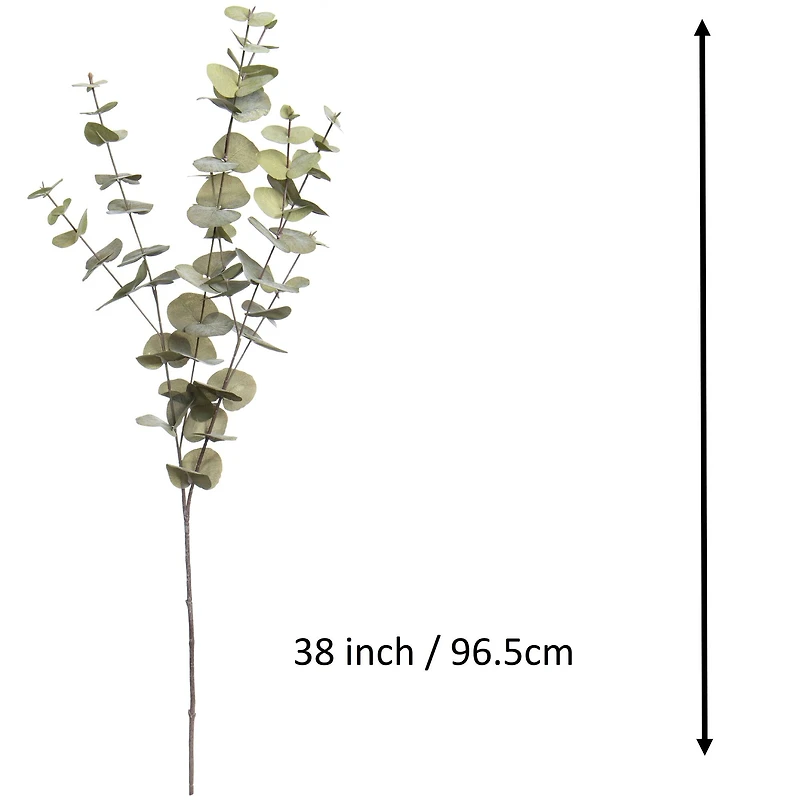 38" Light Green Eucalyptus Stem by Ashland®
