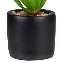 7" Green Sword Grass in Black Pot