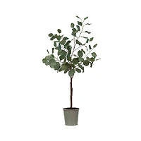 Hello Honey® Faux Eucalyptus Tree In Pot