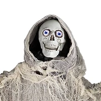 65" Lighted & Animated Master of Death Halloween Decoration