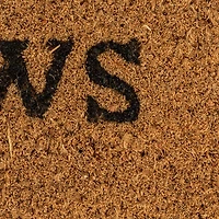 Hello Honey® 29" x 17.5" Wipe Your Paws Natural Coir Bone Doormat