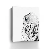 White Owl Canvas Giclee