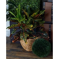 Brown Seagrass Contemporary Storage Basket Set